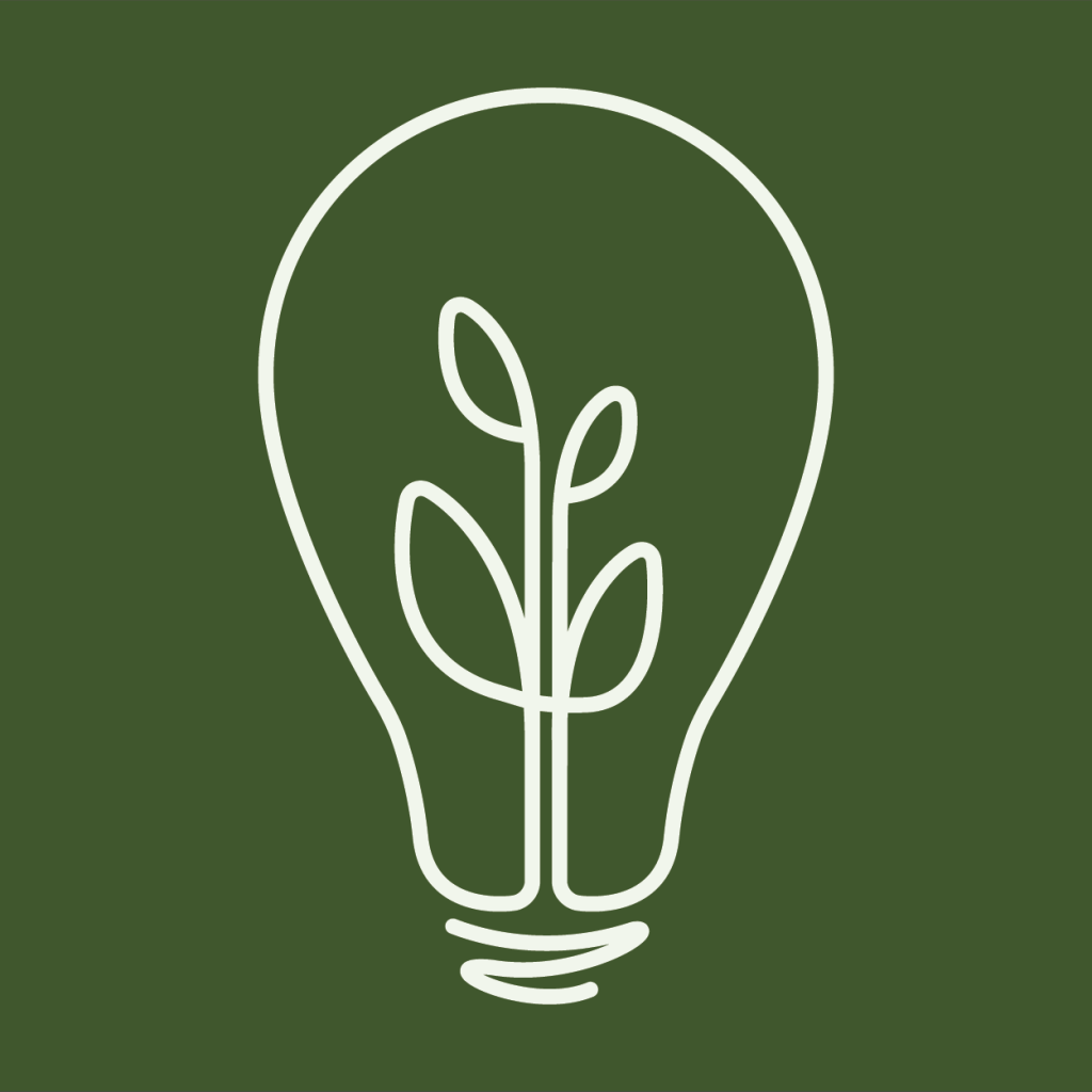 Guerrilla Gardening and Seed Bombs 101 workshop